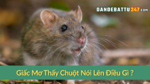 Giấc Mơ Thấy Chuột Nói Lên Điều Gì ?